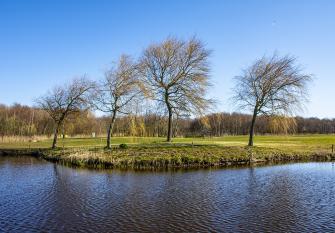 Een zonovergoten, maar verlaten baan